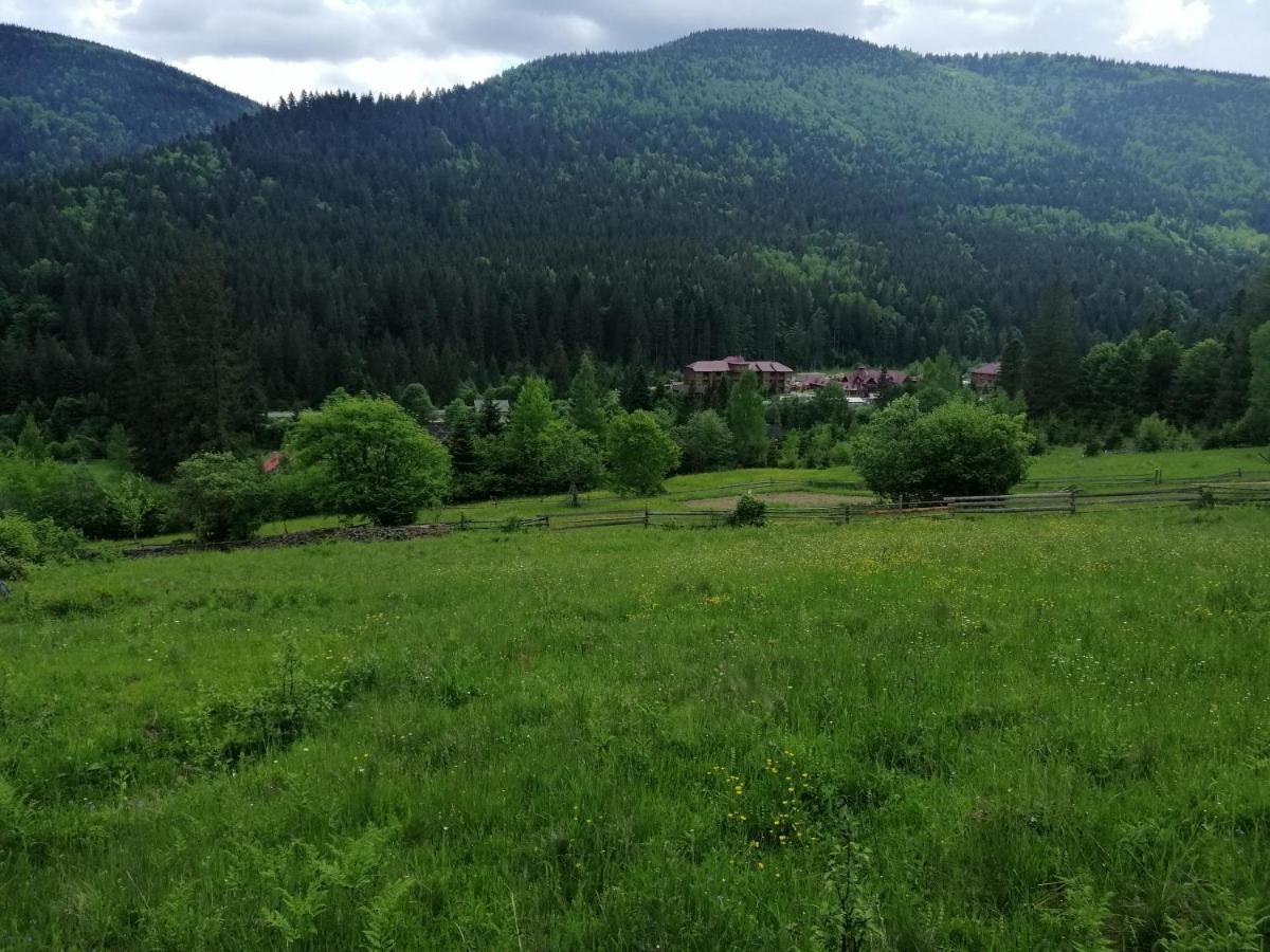 Vila Гостинний Двір У Ангеліни Tatariv Exteriér fotografie